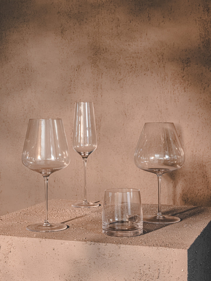 Celebration Tumbler Glass Set of 4 in Clear