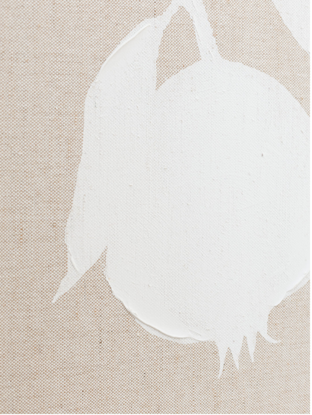 Grenadine Wall Art Set of 2 in Blanco