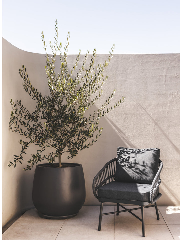 Lolita Outdoor Occasional Chair