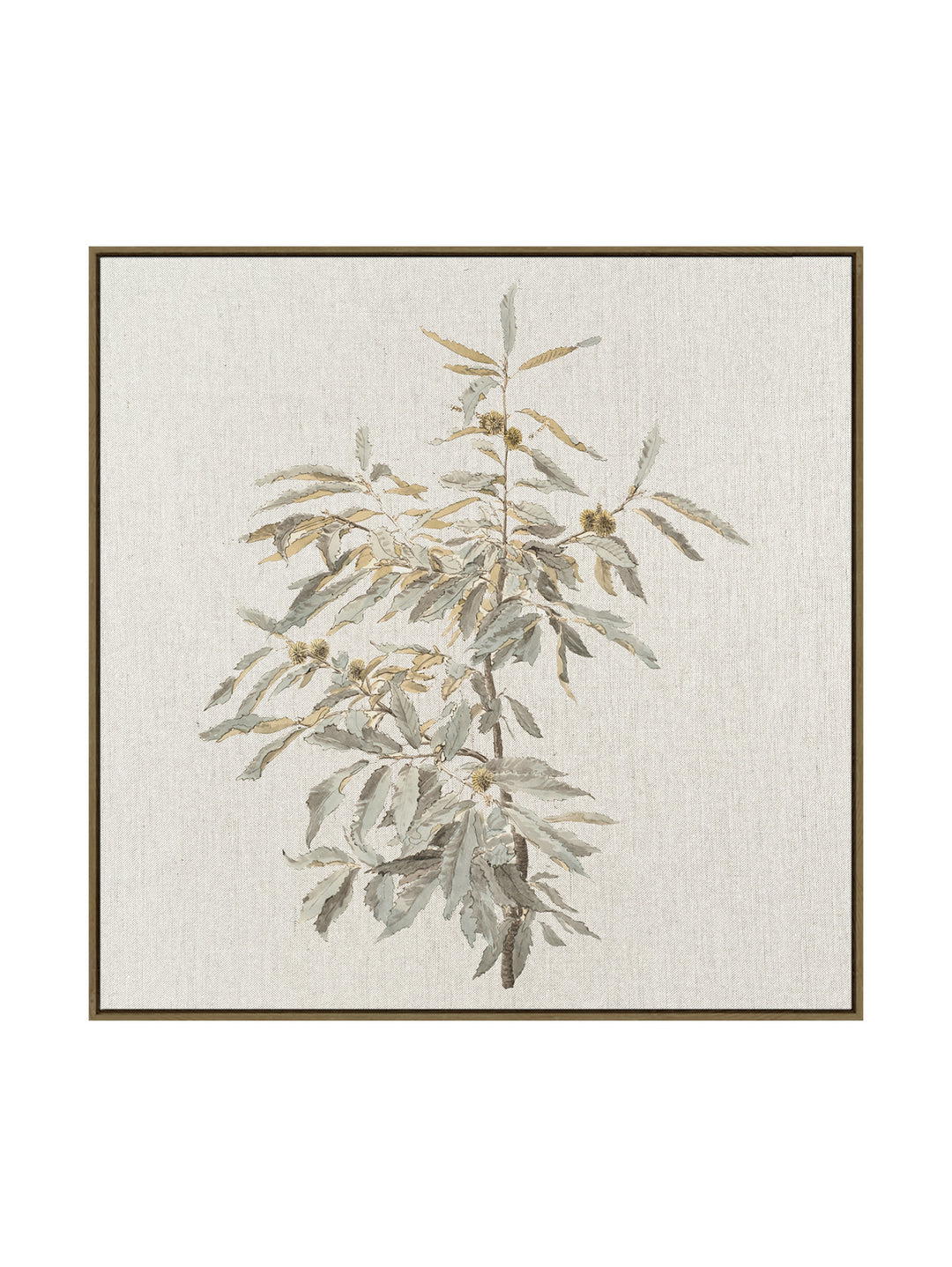 Olivine Wall Art in Dusty Green