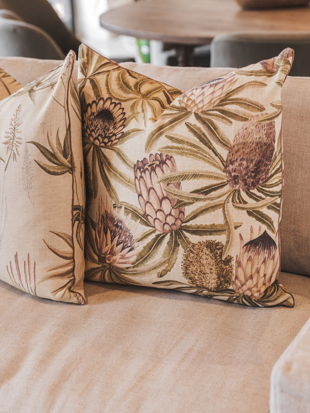 Protea King Scatter in Blush