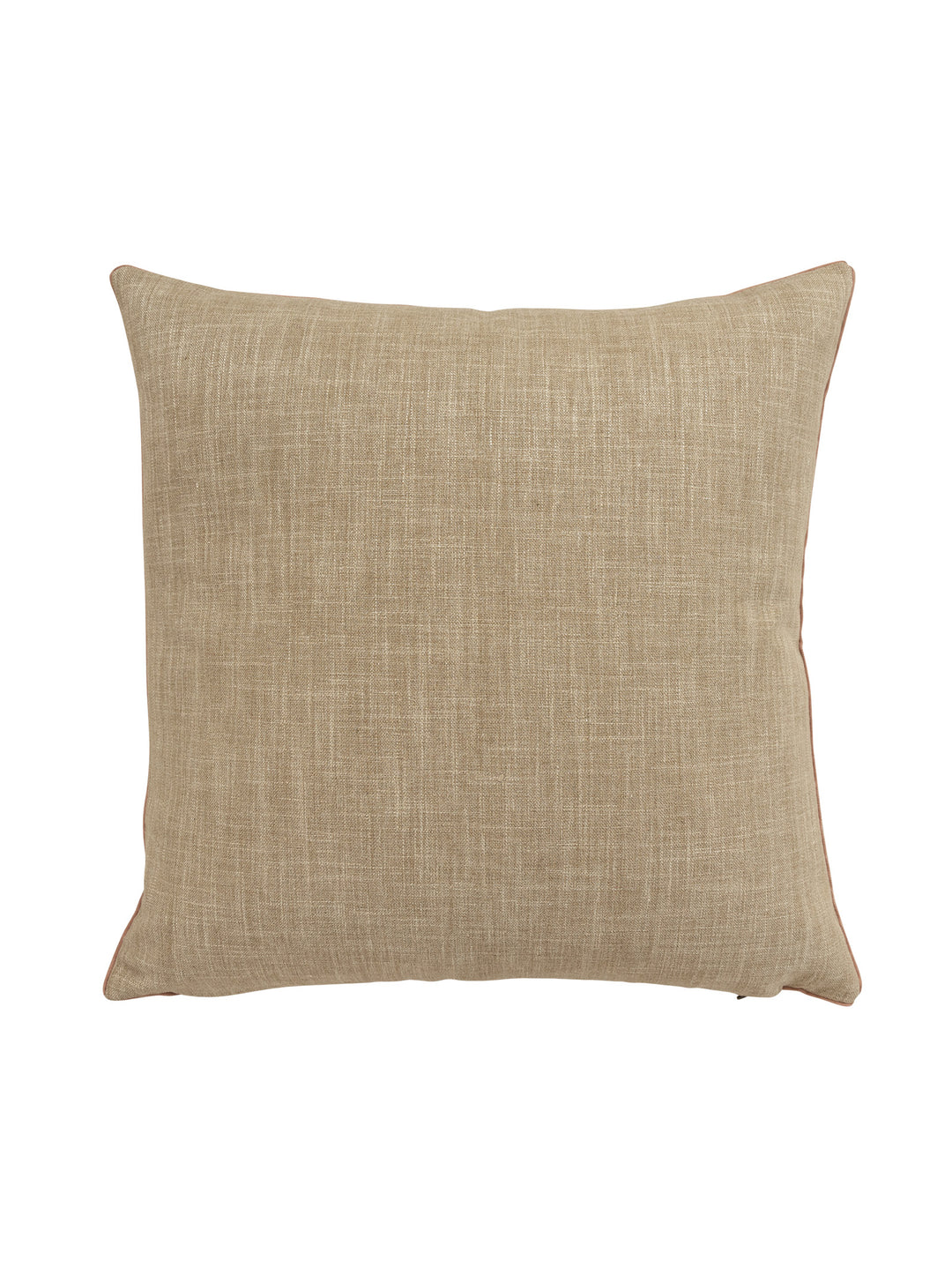 Protea King Scatter in Blush