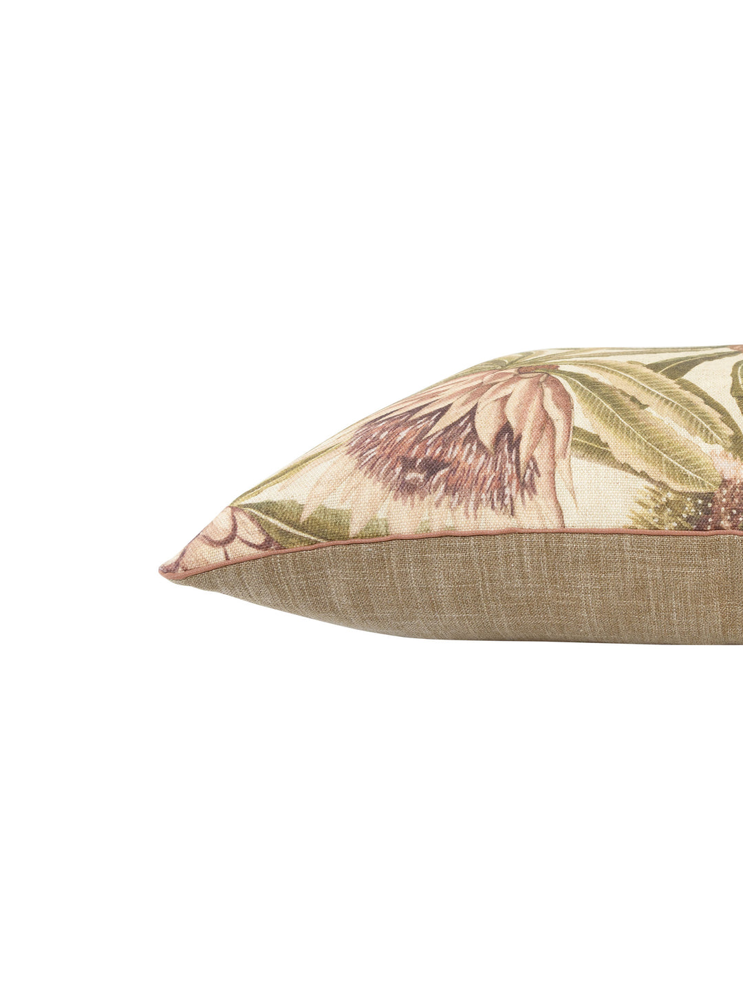 Protea King Scatter in Blush