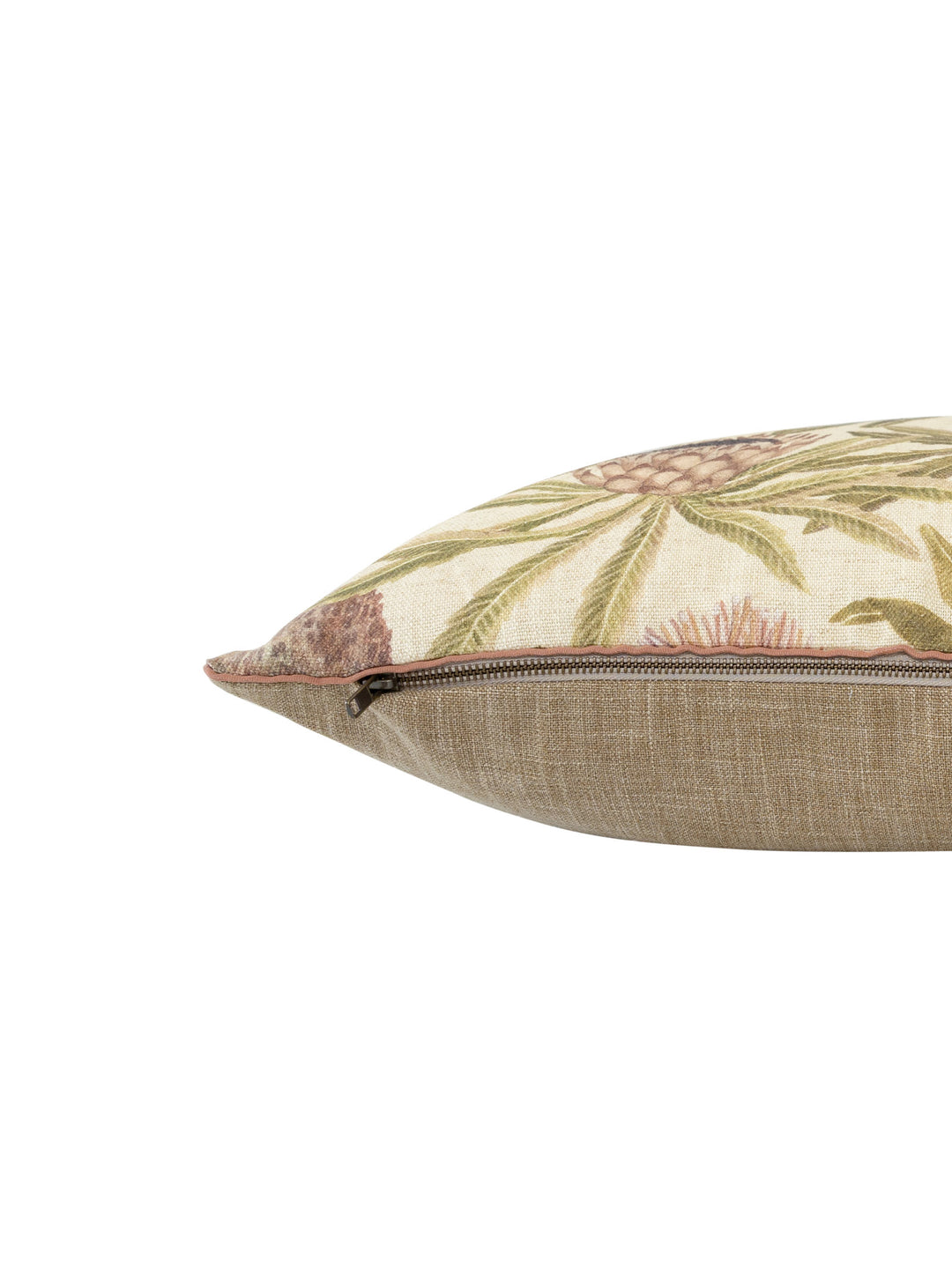 Protea King Scatter in Blush