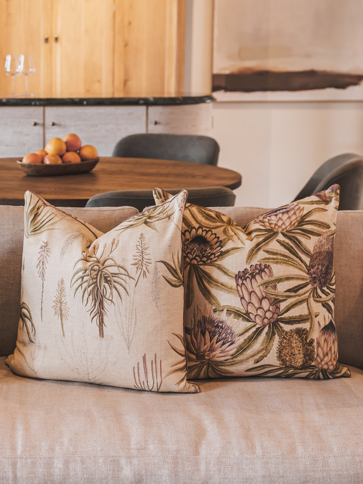 Protea King Scatter in Blush