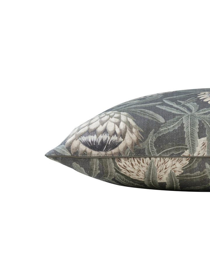 Protea King Scatter in Eclipse