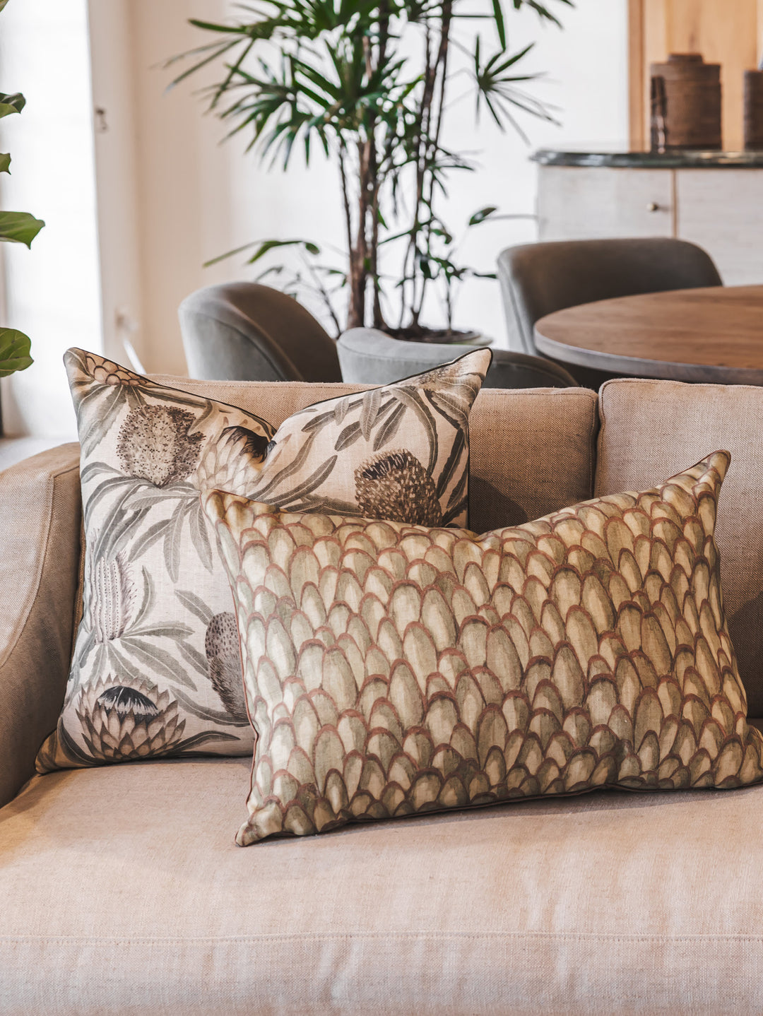 Protea King Scatter in Fynbos