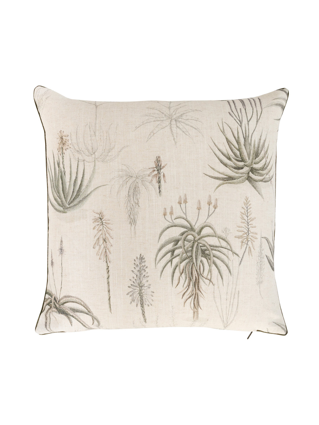 Queens Candelabra Scatter in Aloe