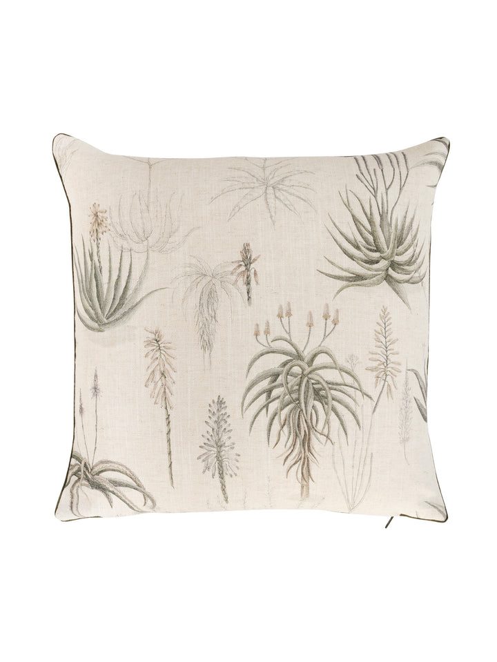 Queens Candelabra Scatter in Aloe