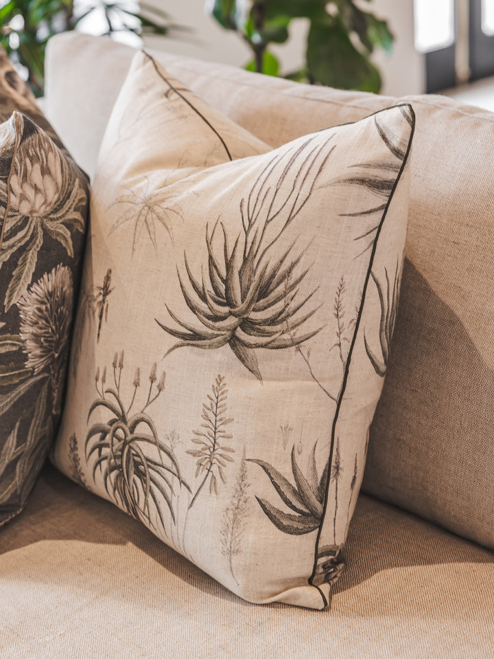 Queens Candelabra Scatter in Aloe