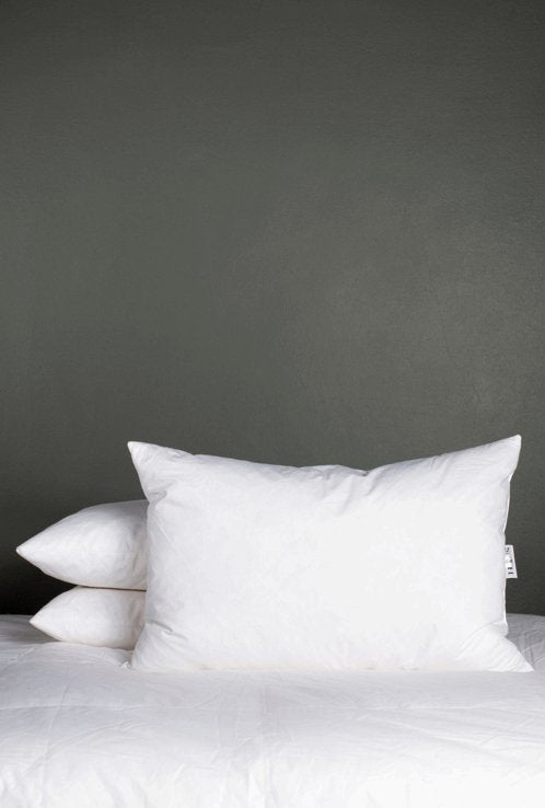 Duck Feather Cushion Inners Set of 2 - Hertex Haus Online - bed & bath