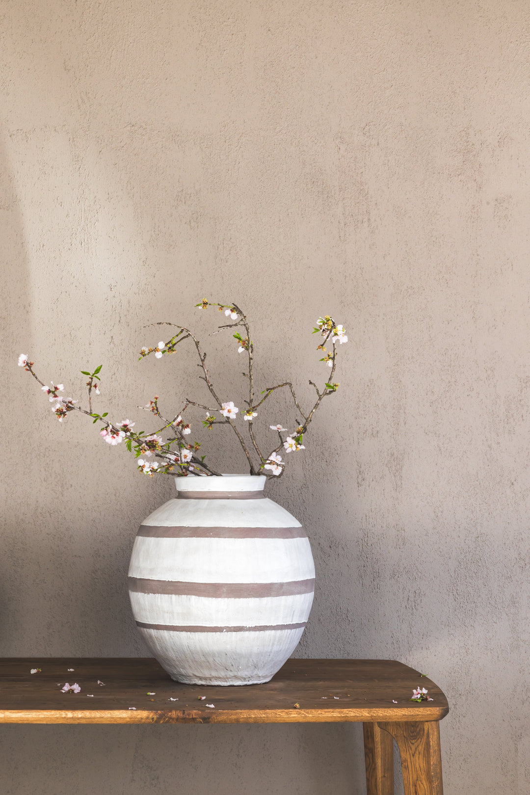 Hauswarming Vases & Planters