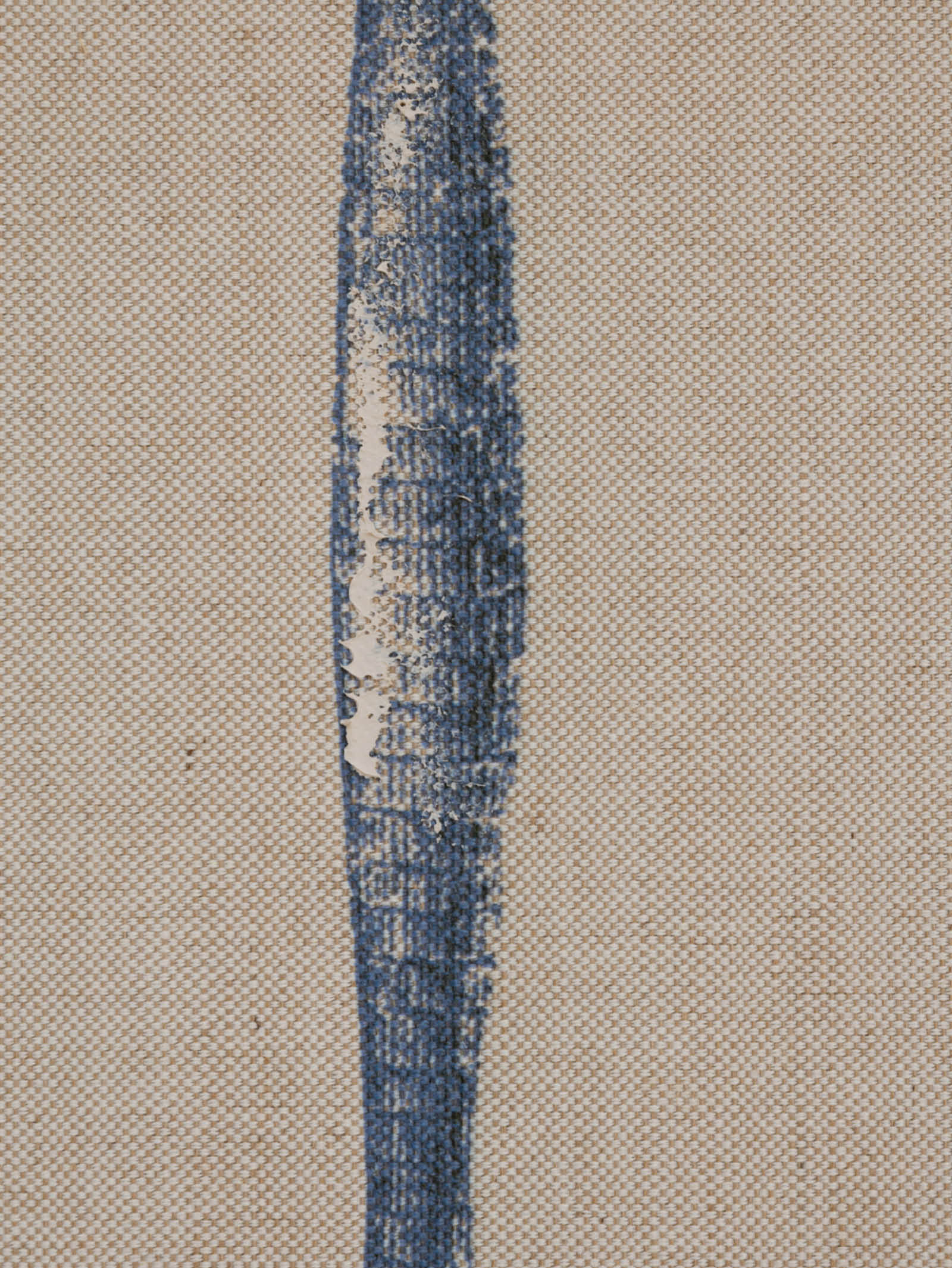 Alcazar Palms Wall Art Set of 2 in Nautical - Hertex Haus - Hertex