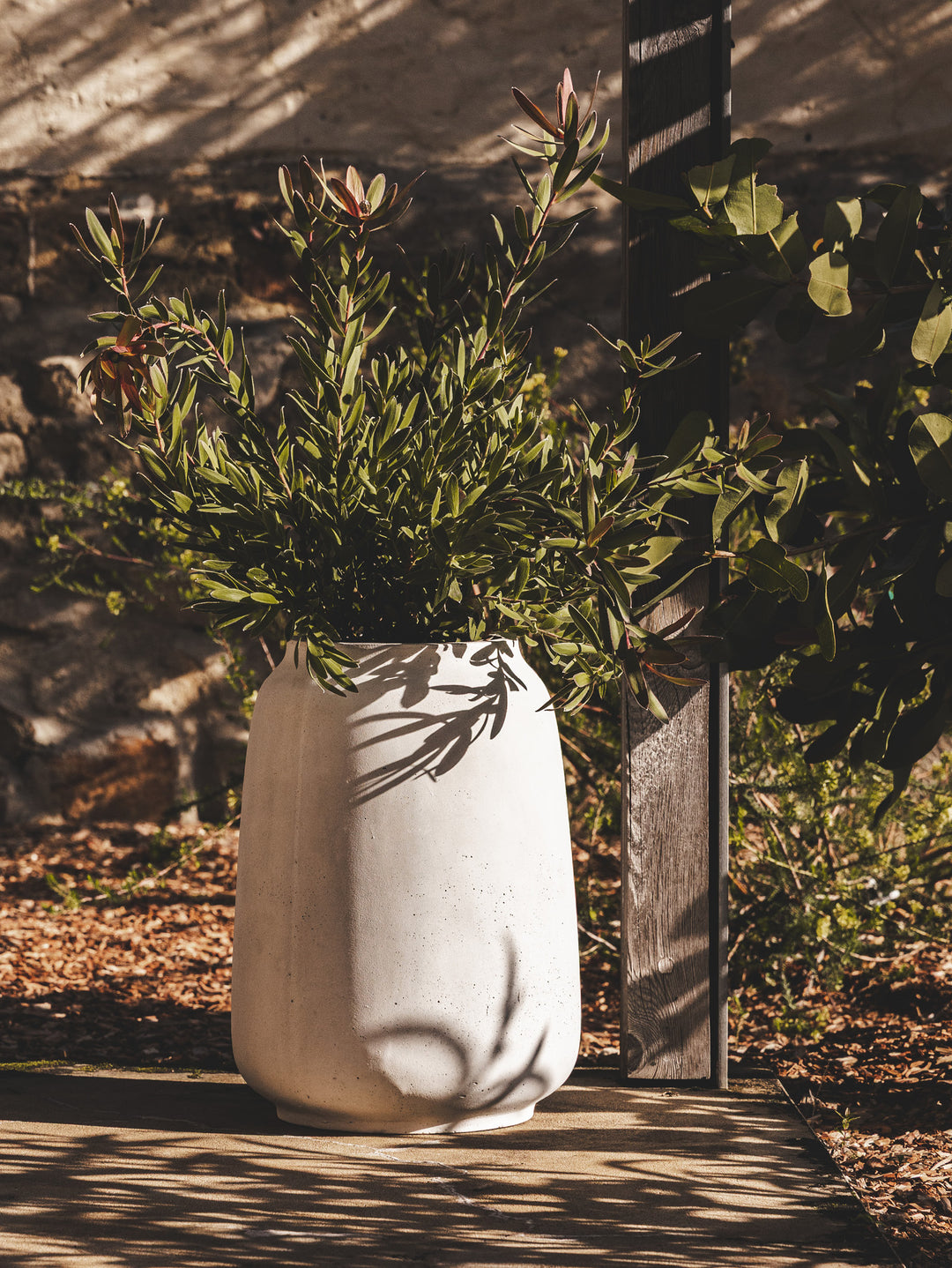 Annam Planter