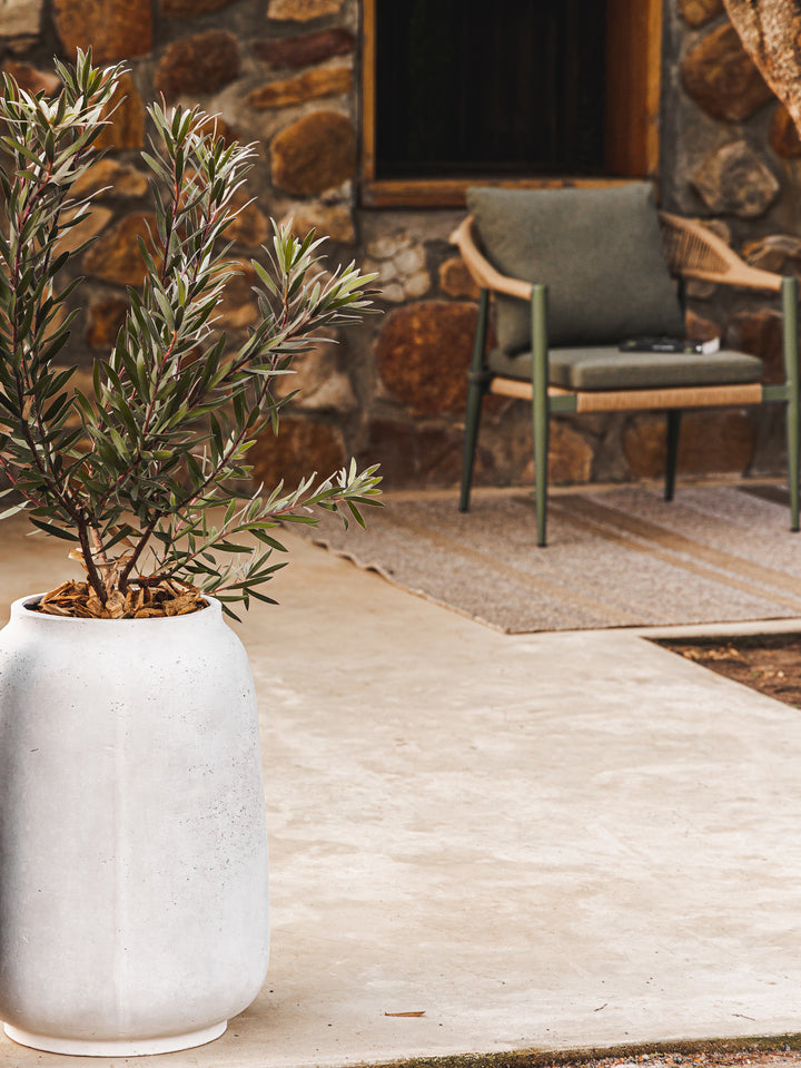 Annam Planter