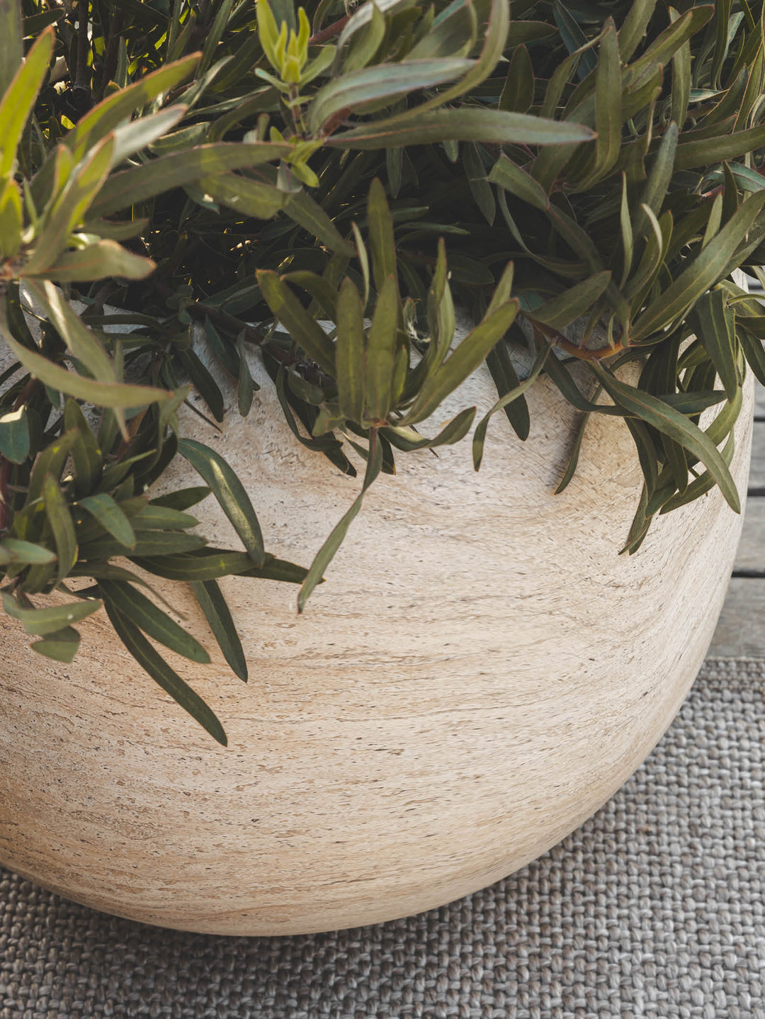 Arizona Planter in Marble