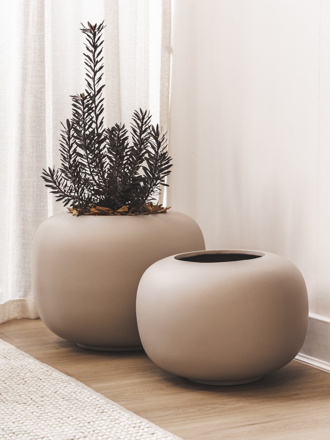 Arizona Planter