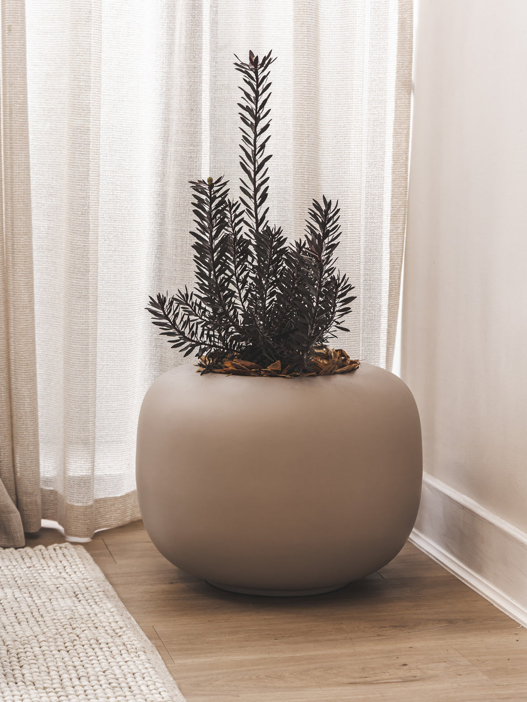 Arizona Planter