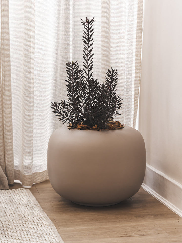 Arizona Planter