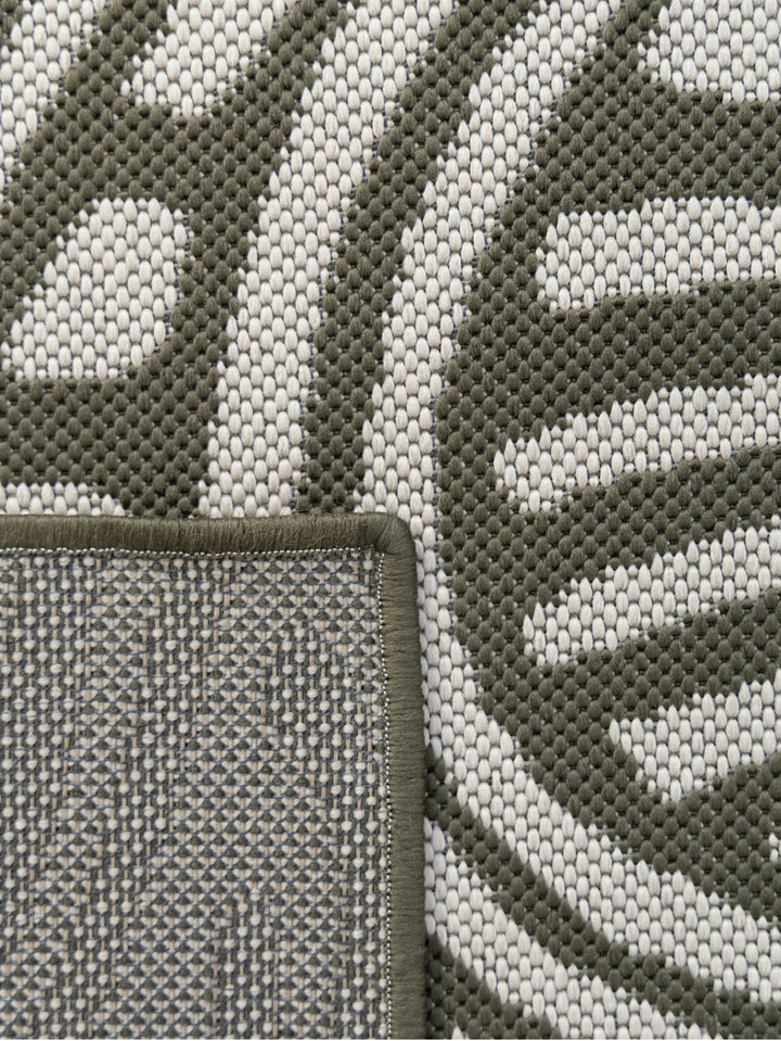 Current Runner in Seaweed