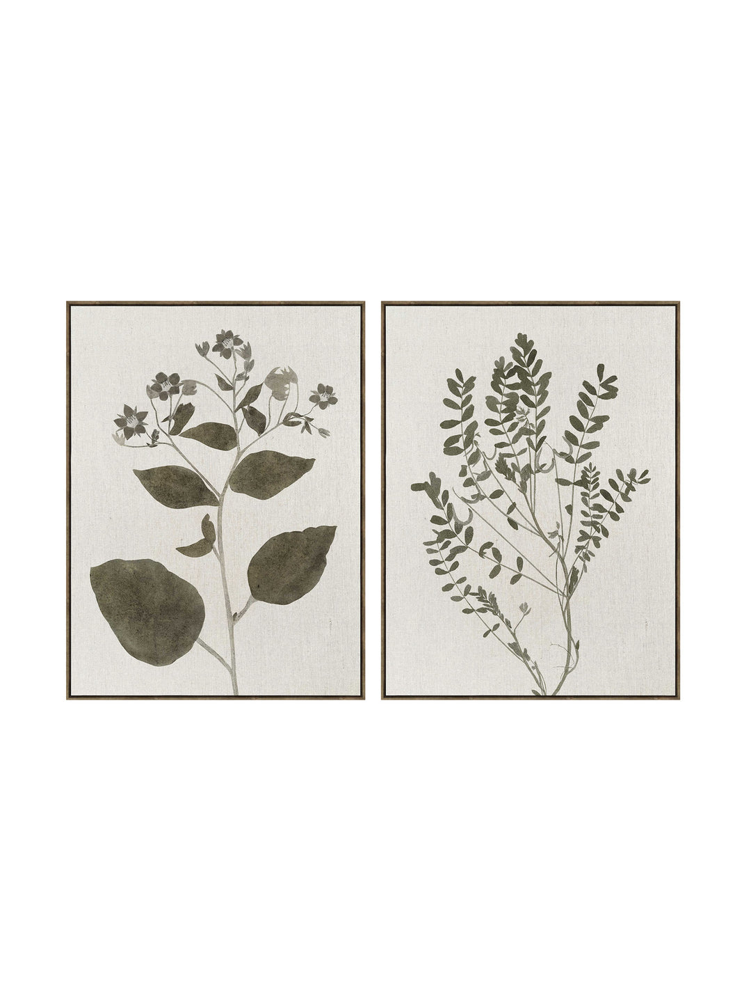 Blueprint Leaves Wall Art Set of 2 in Olive