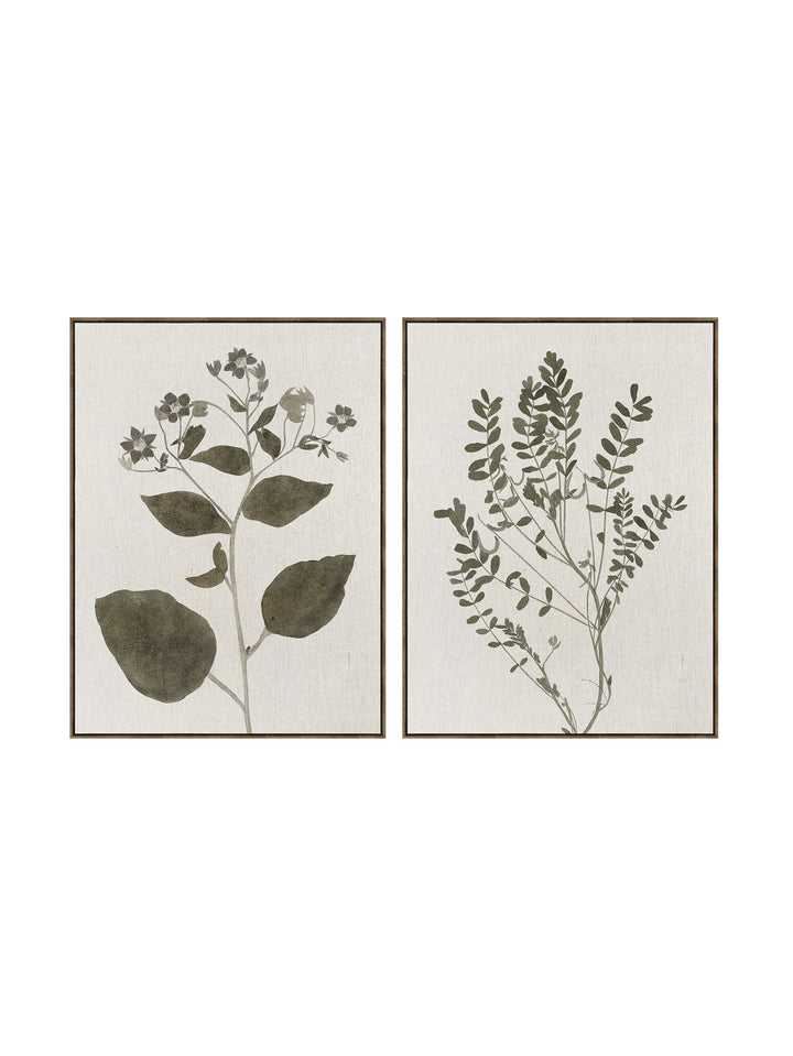 Blueprint Leaves Wall Art Set of 2 in Olive