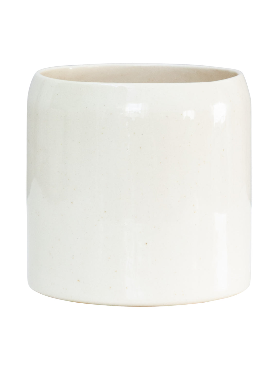 Botanist Planter in Vanilla Pod