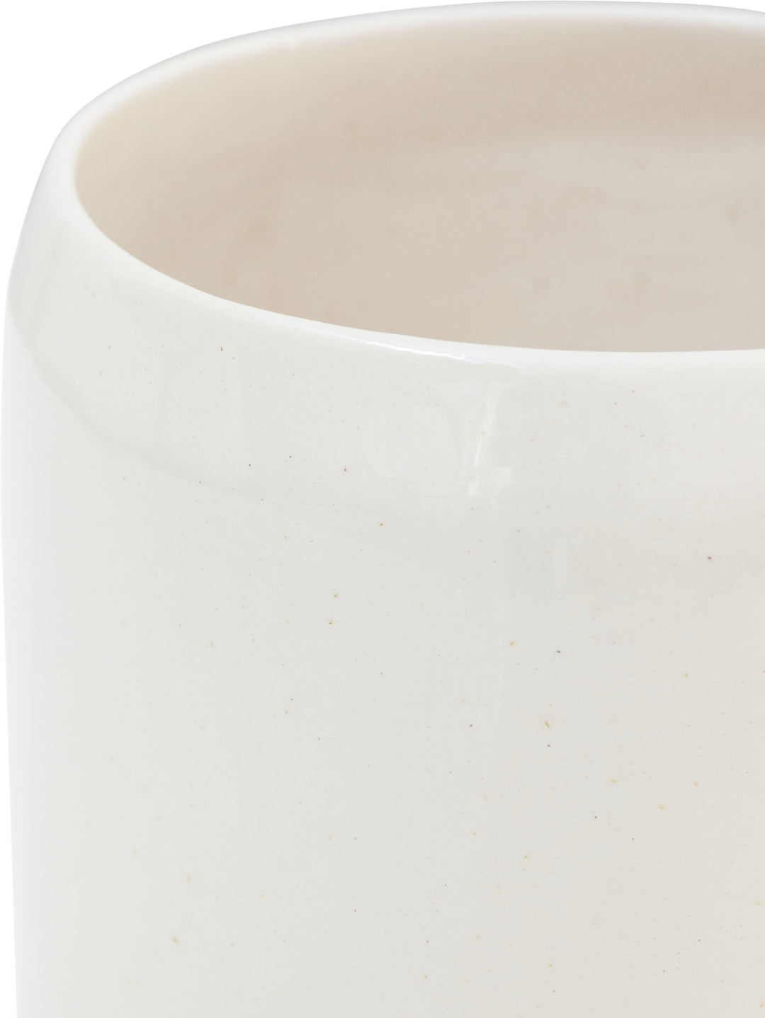 Botanist Planter in Vanilla Pod