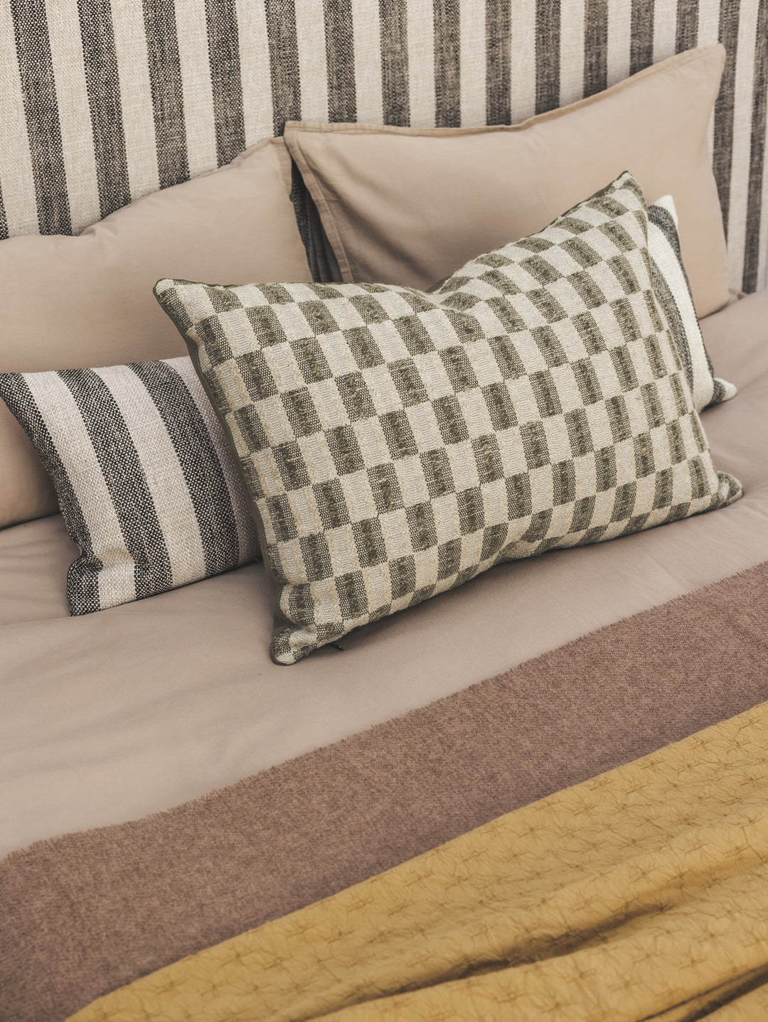 Bronco Scatter in Cactus