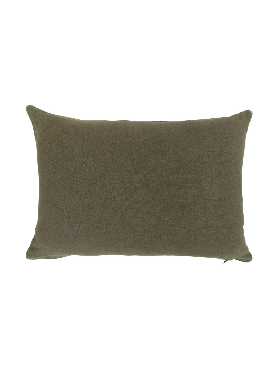 Bronco Scatter in Cactus