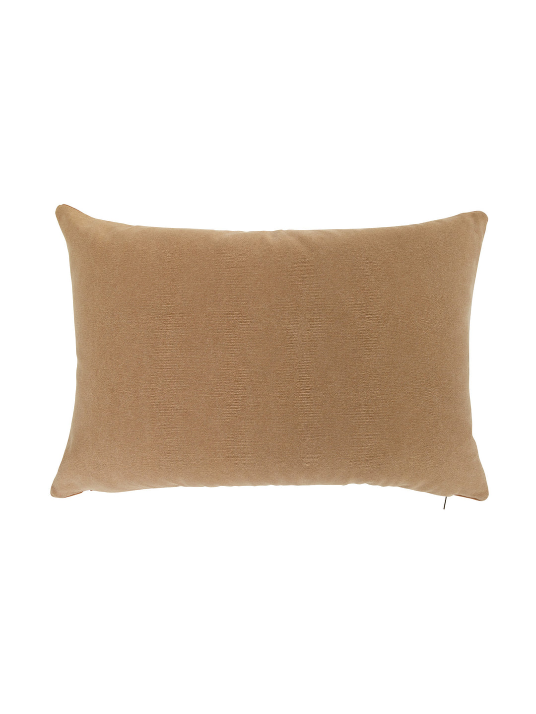 Bronco Scatter in Canyon