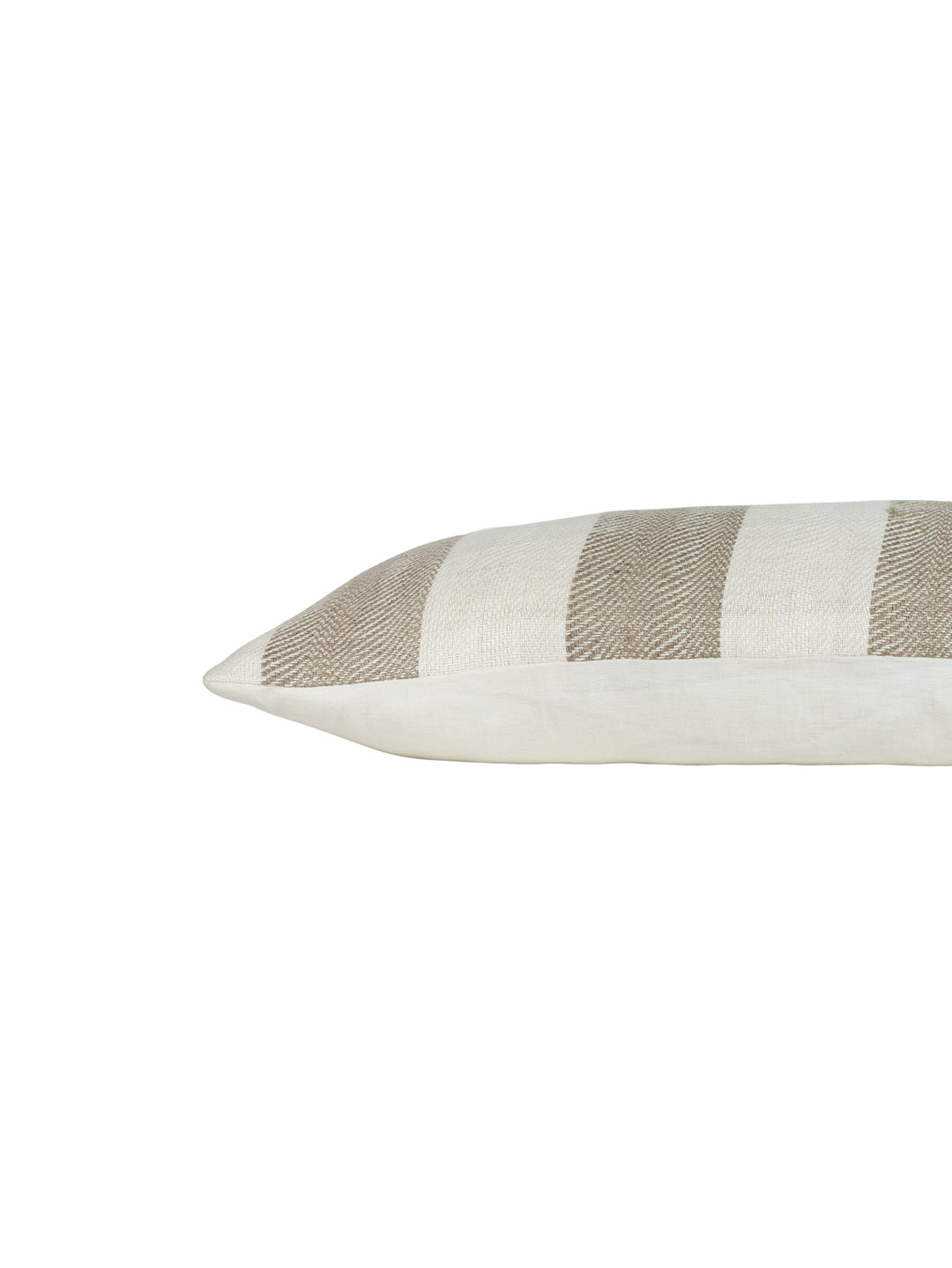 Seashell Scatter in Pearl