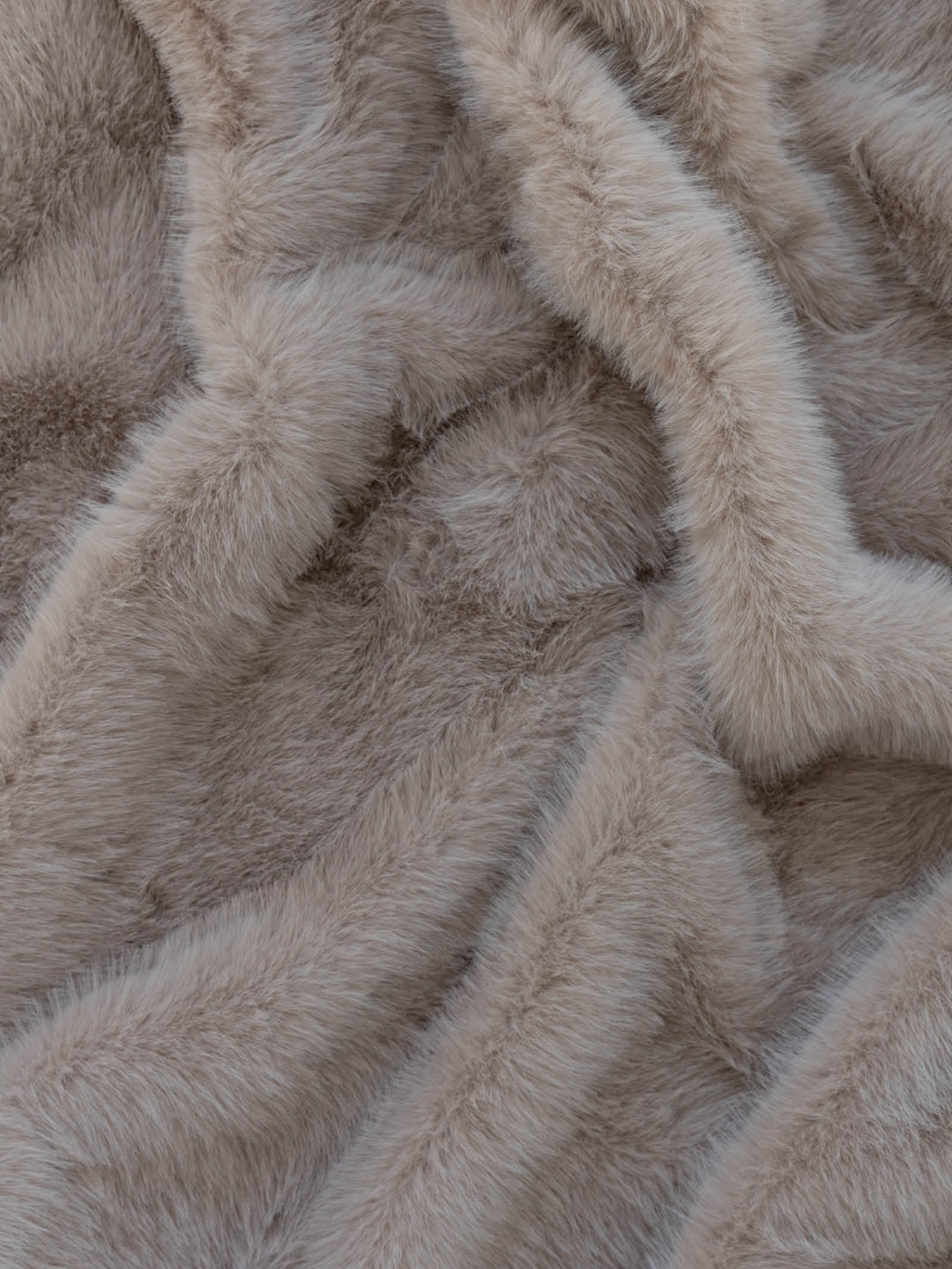 Camel Fur in Cream
