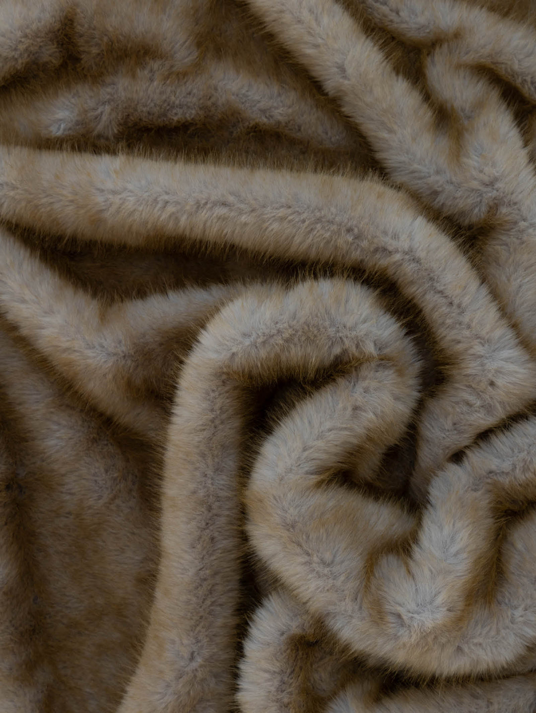 Caracul Fur in Savanna