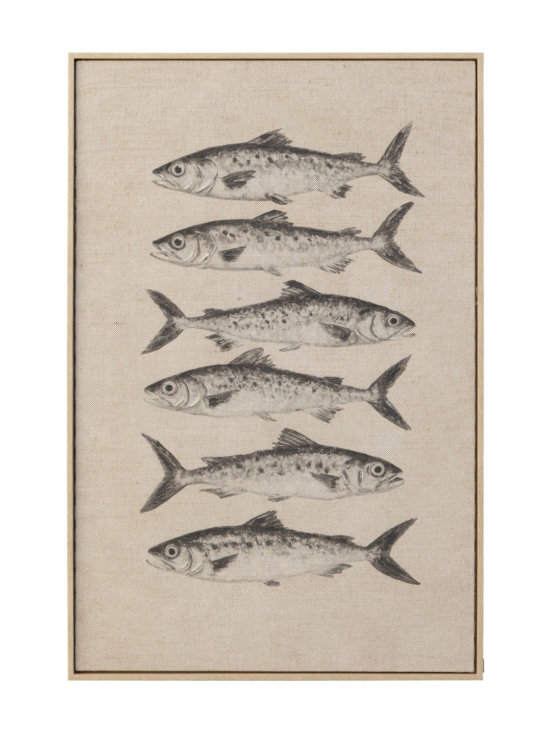 Catch of the Day Wall Art in Shore