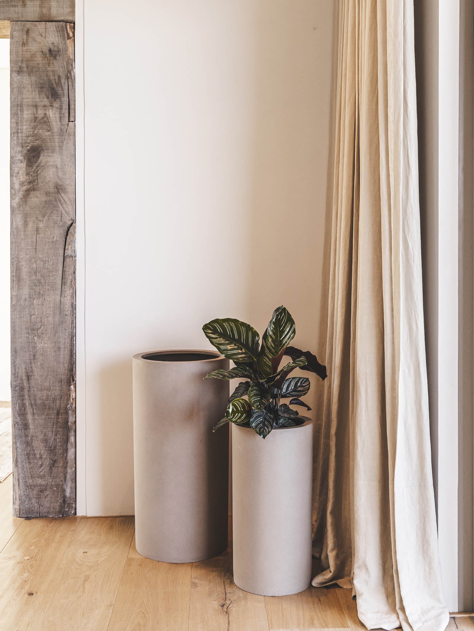 Cima Planter in Sahara - Hertex Haus - Hertex Haus