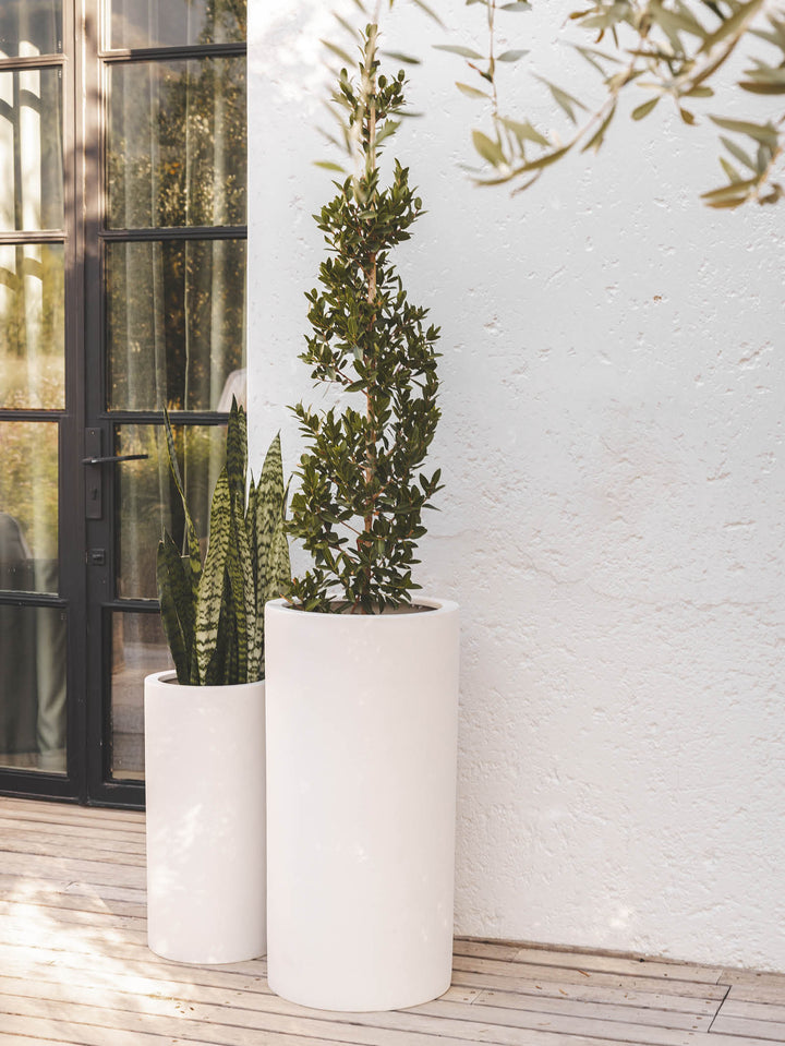 Cima Planter in Bone