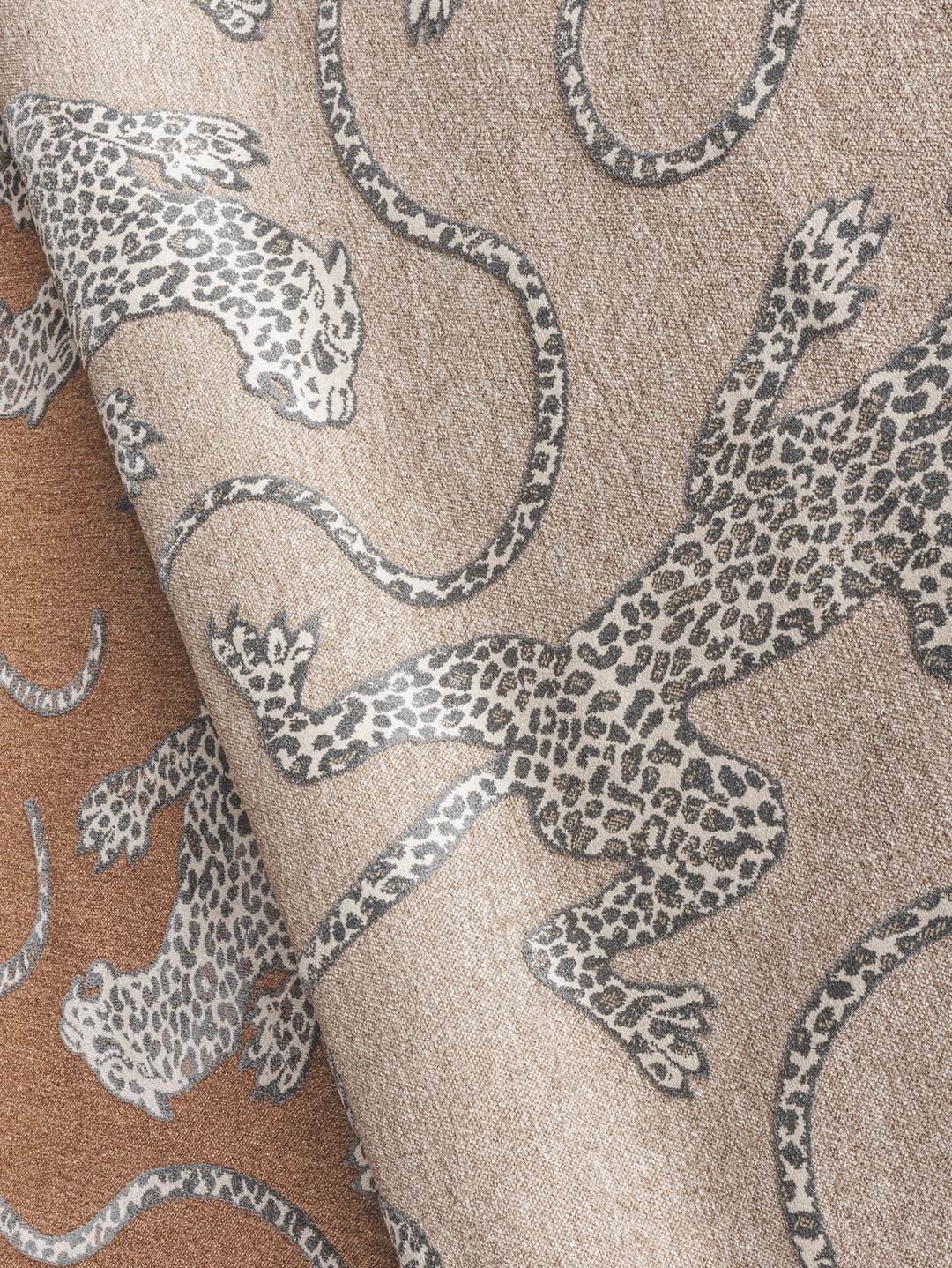Curious Seeker Rug in Savanna