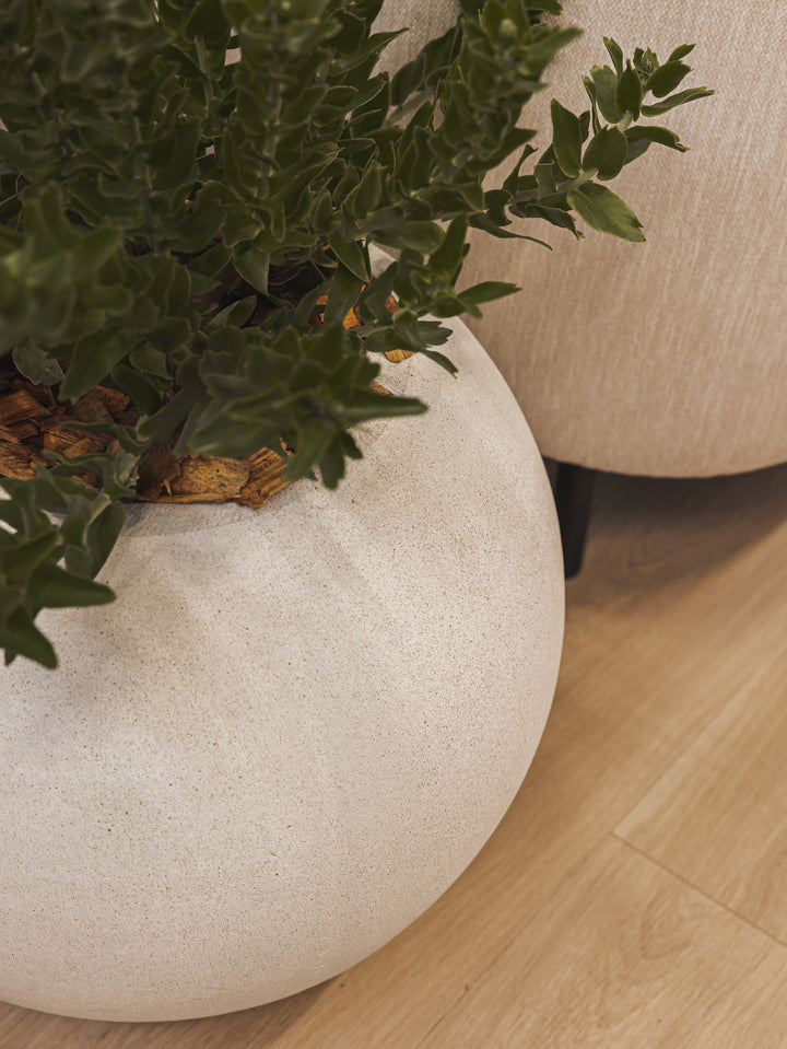 Cyclo Planter in Salt