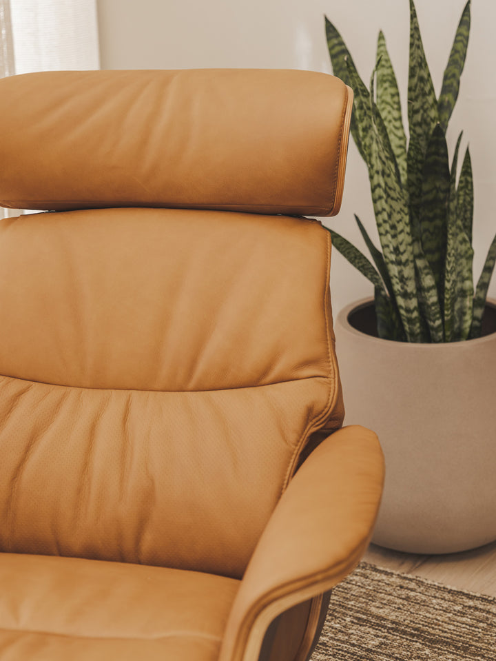 Duke Leather Occasional Chair Set