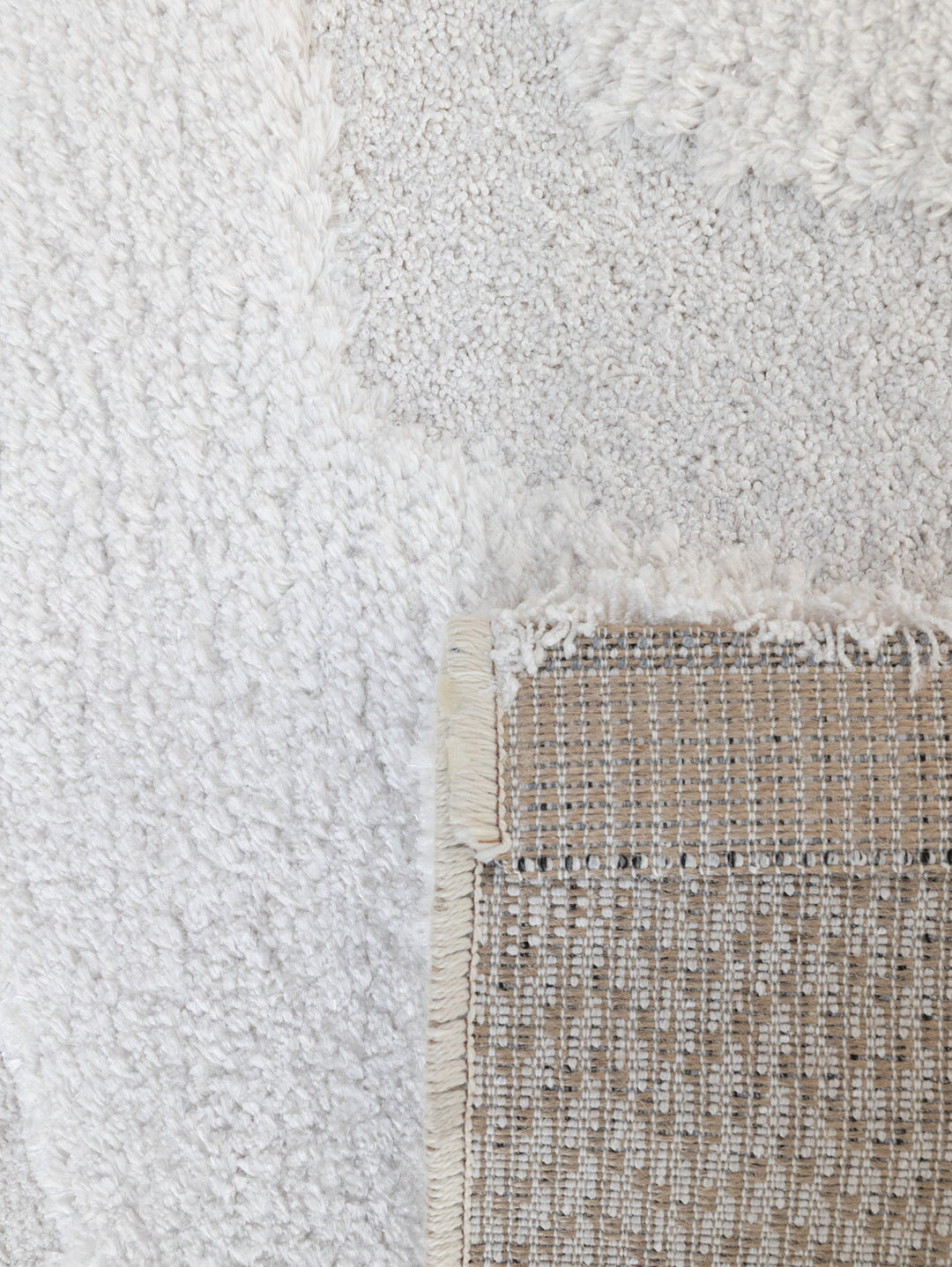 Enliven Rug in Frost