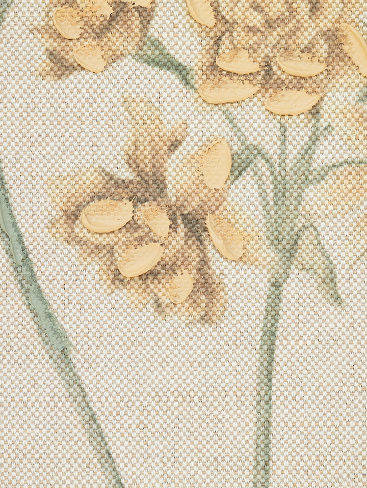 Field Studies Wall Art Set of 4 in Botanical