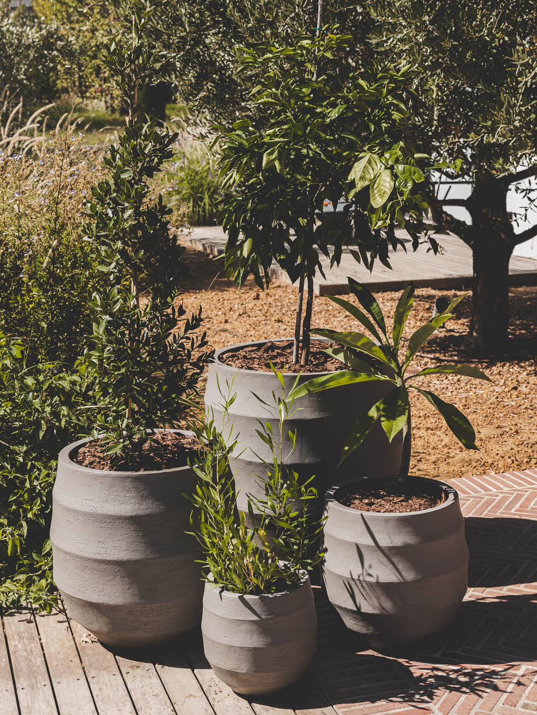 Flow Planter