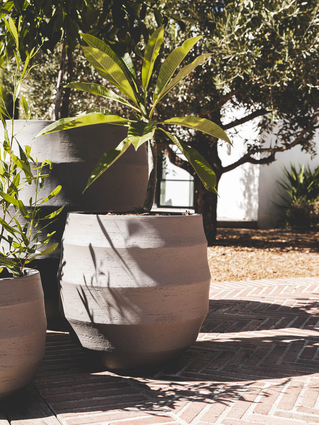 Flow Planter