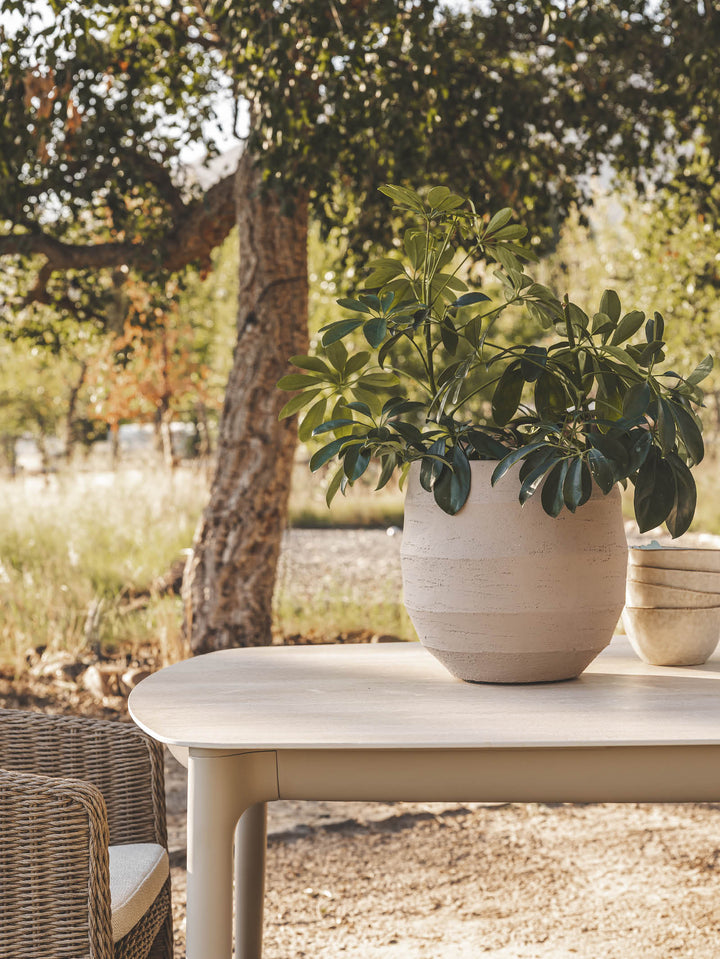 Flow Planter