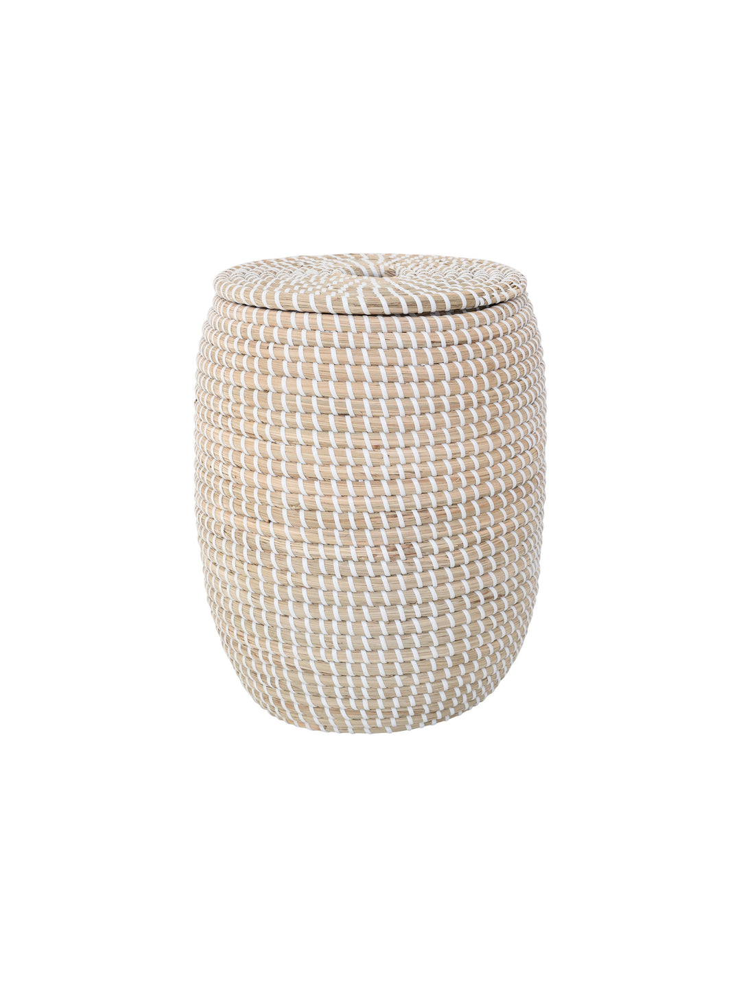 Hanoi Bin