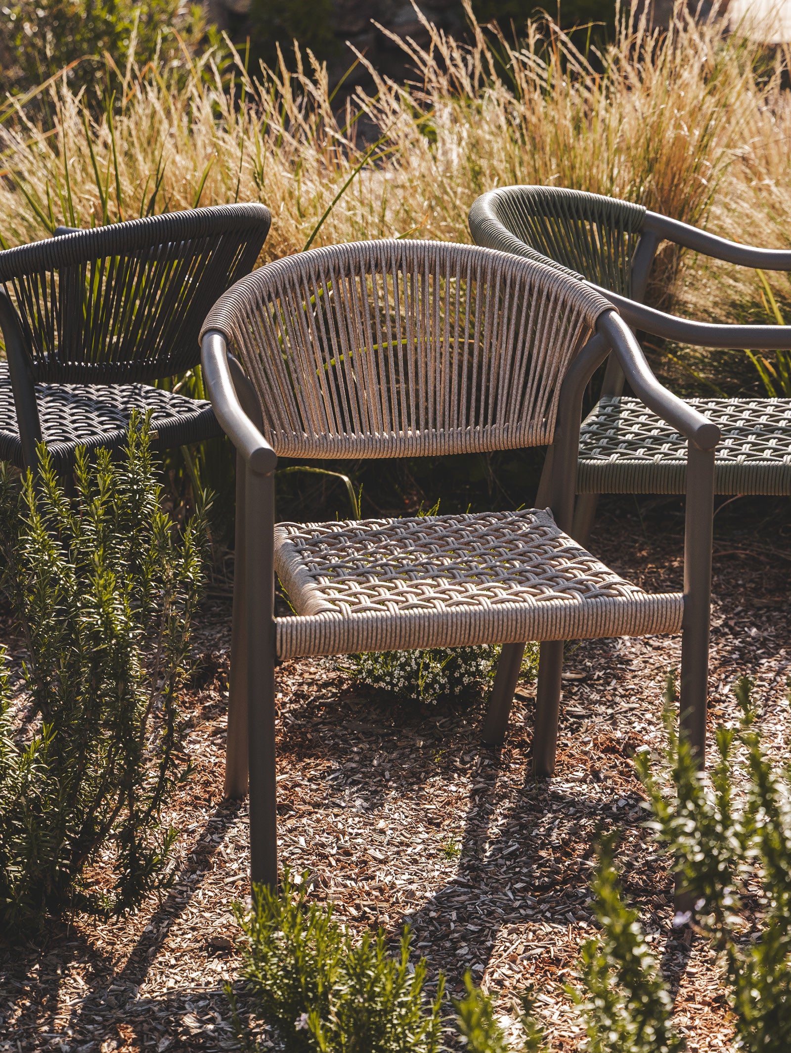 Iman Dining Chair - Hertex Haus - Hertex Haus