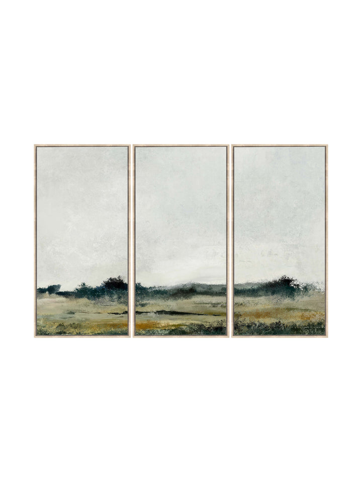 Klein Karoo Wall Art Set of 3 in Veld