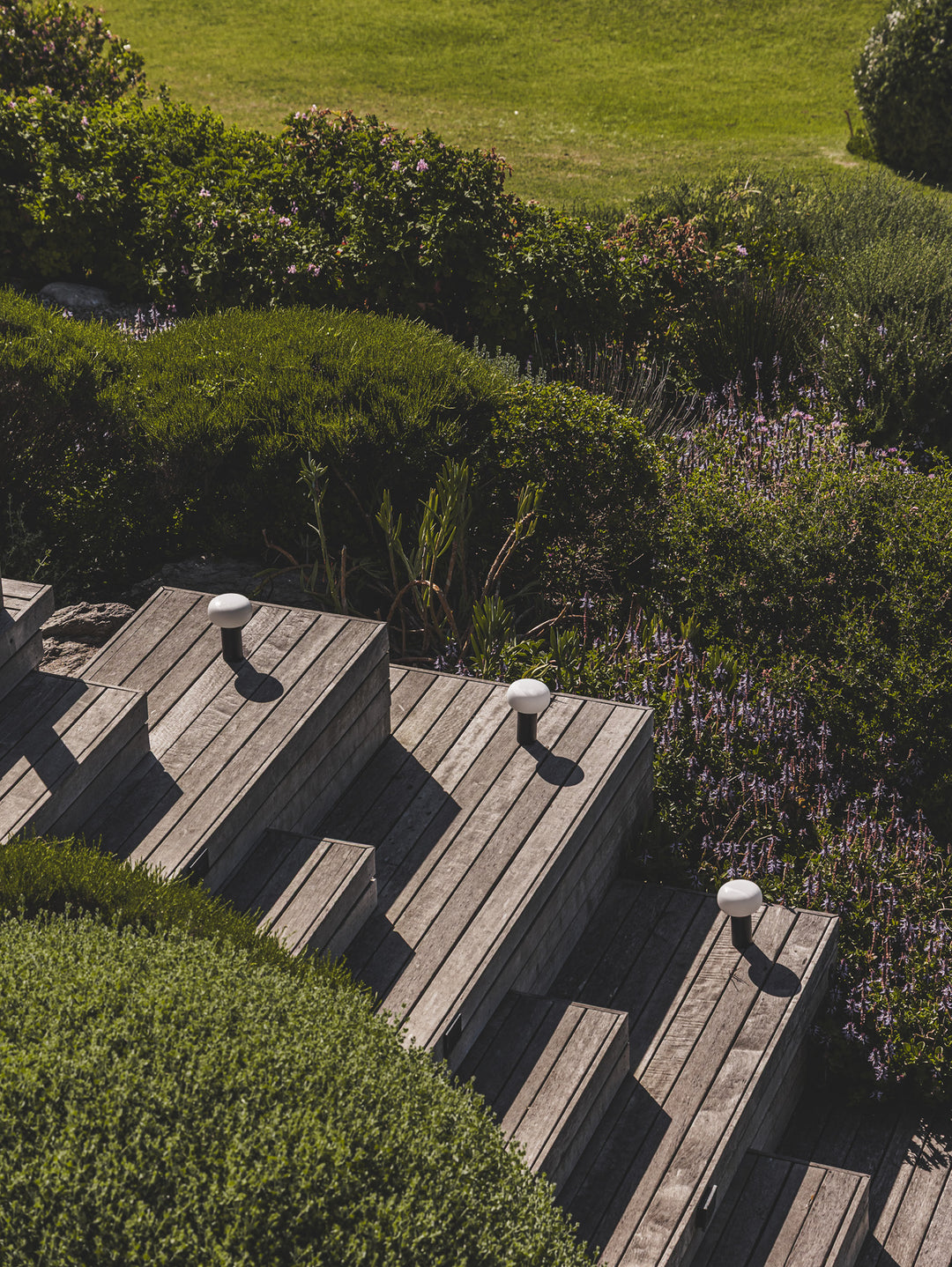 Mallow USB Table Light