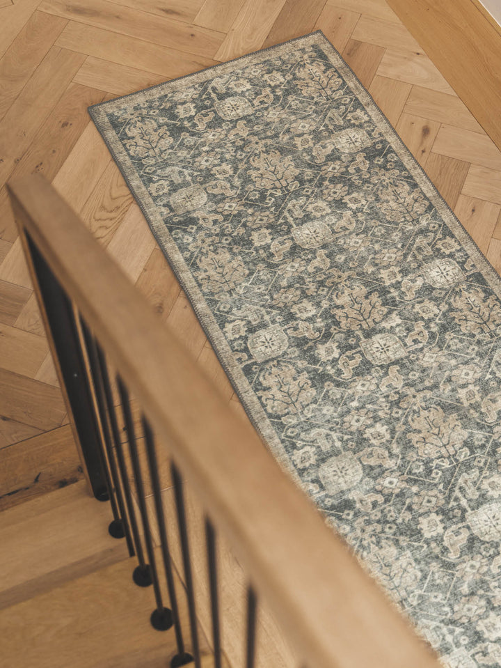 Viscount Runner in Admiral